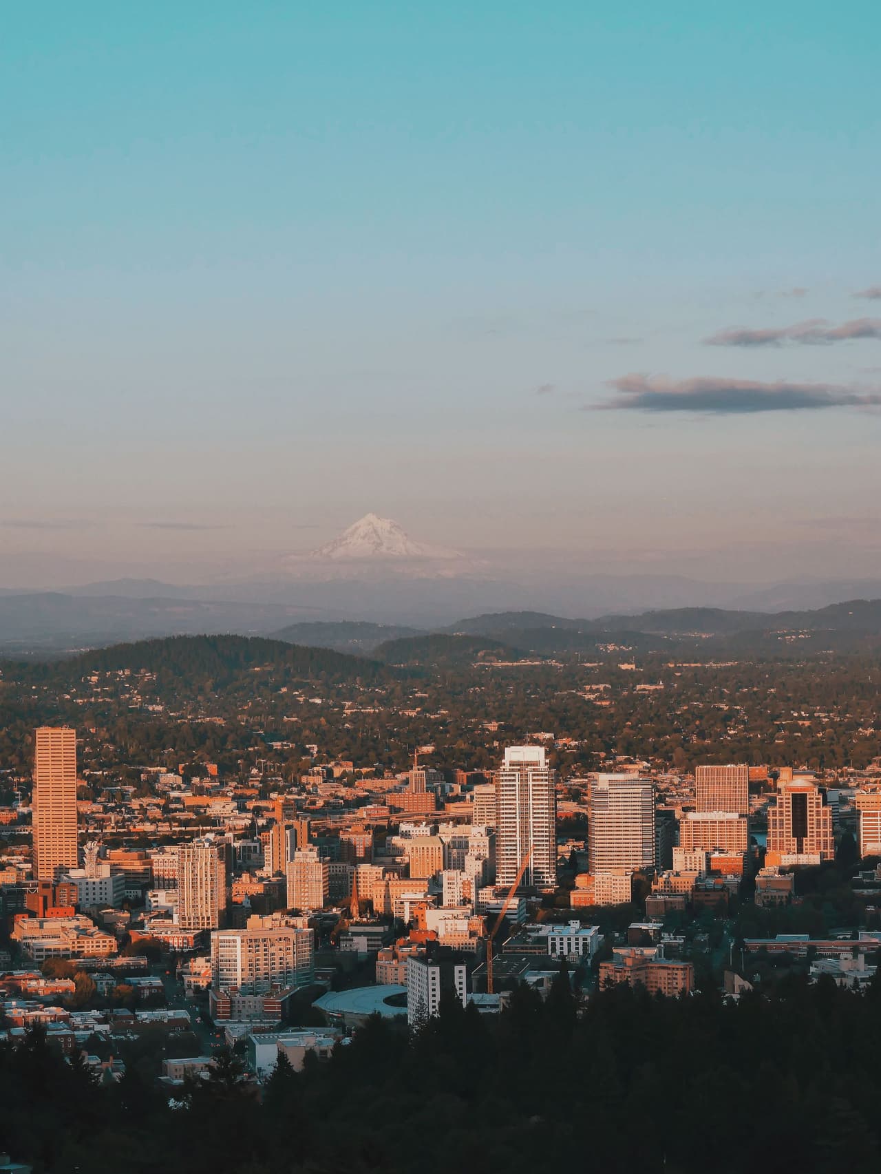View of a city skyline in the foreground with a large snow-capped mountain in the distance under a clear blue sky