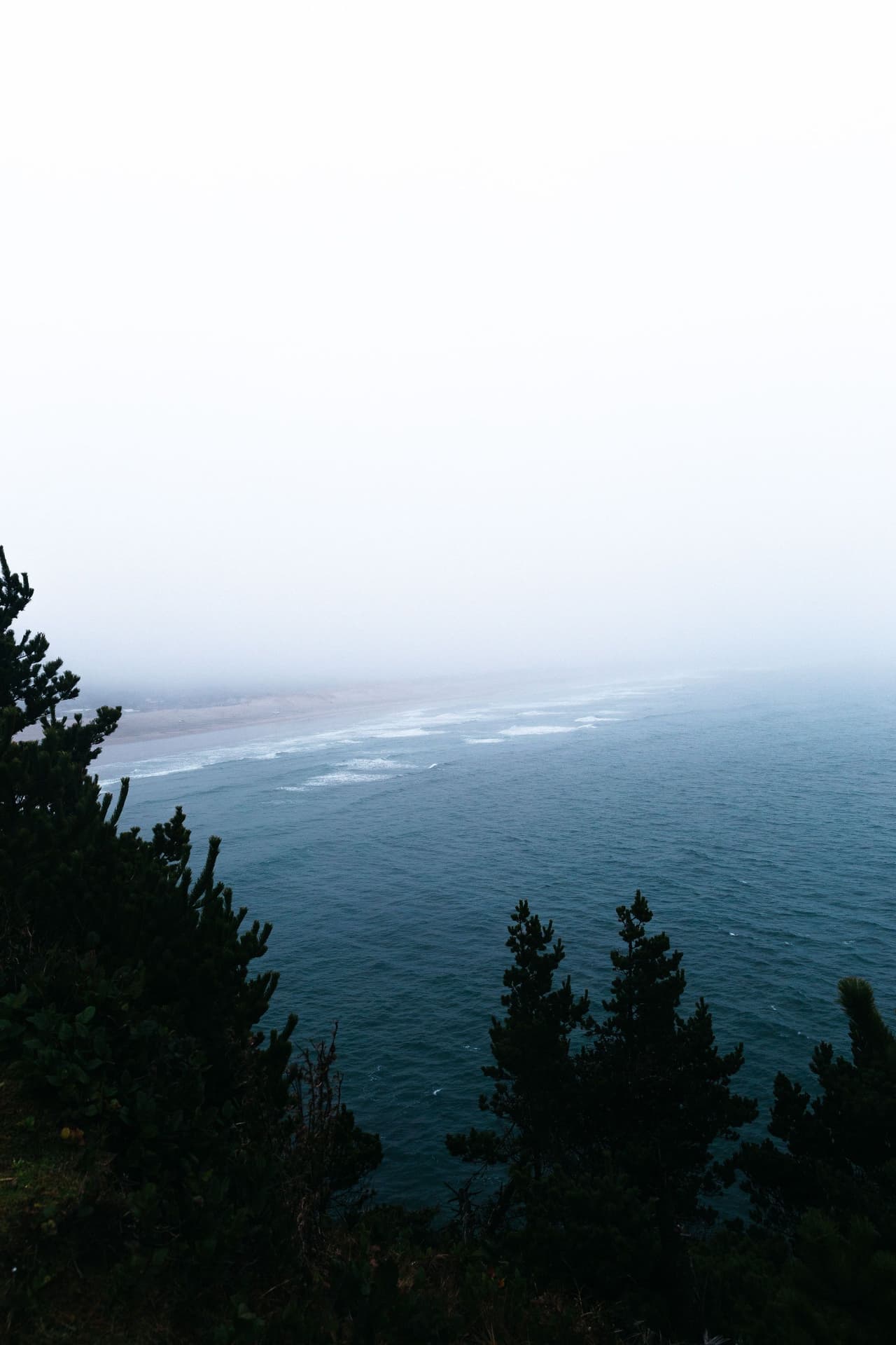 View of a foggy coastline with dark pine trees in the foreground and ocean waves meeting the shore under an overcast sky