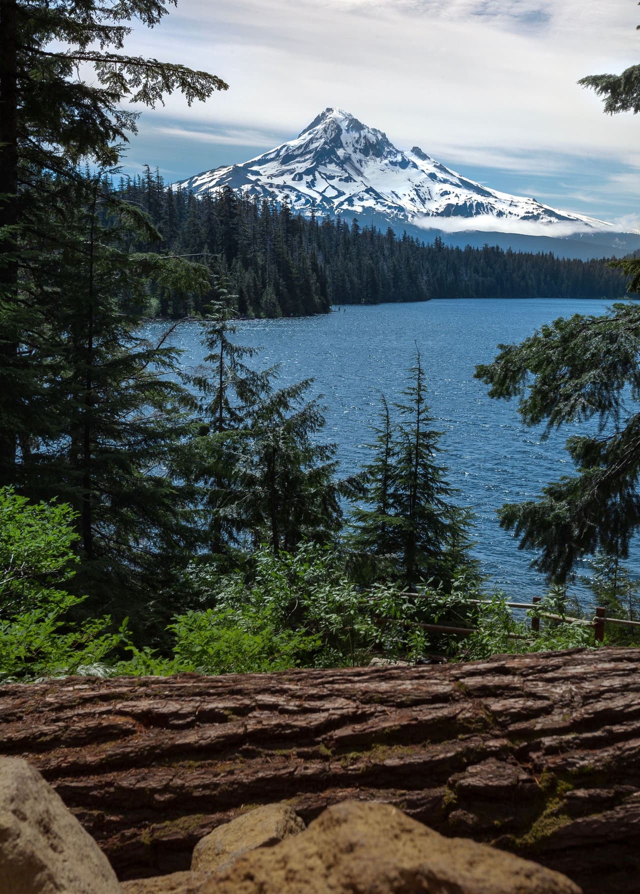 Scenic view of a snowy mountain with a lake in front and surrounding dense forest trees