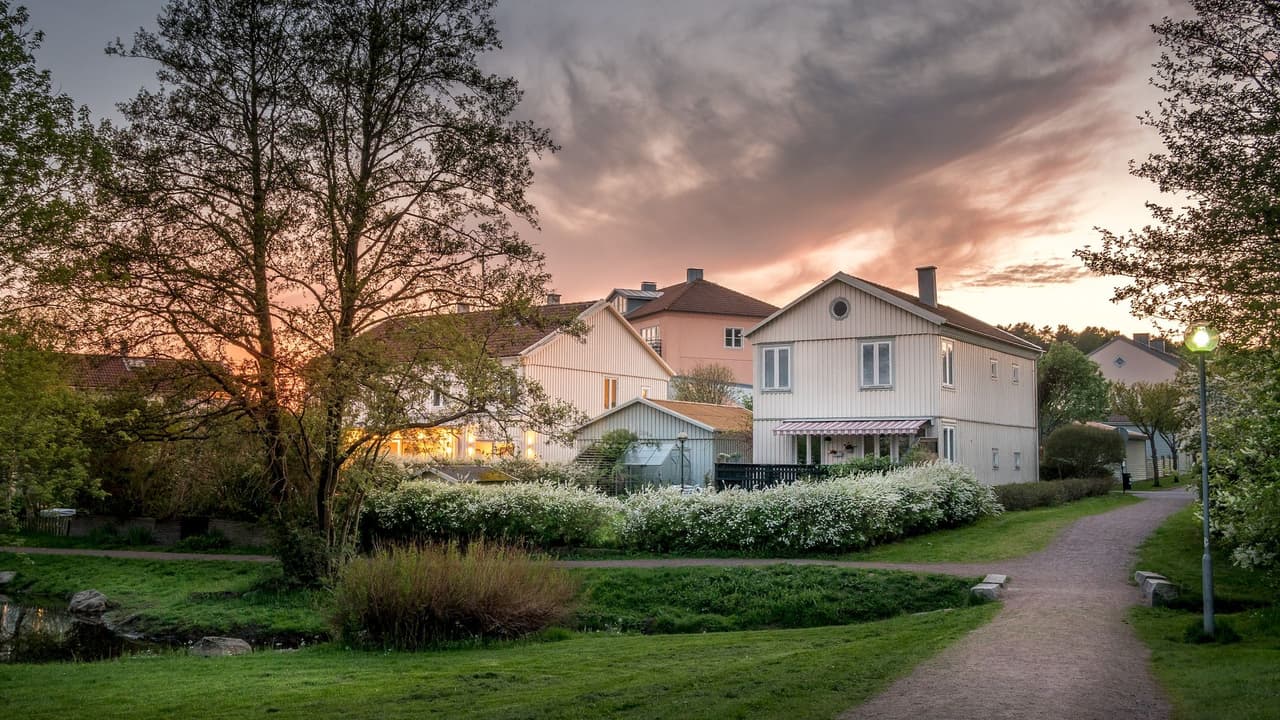 Suburban houses at sunset with a tree and a pathway in the foreground under a colorful sky